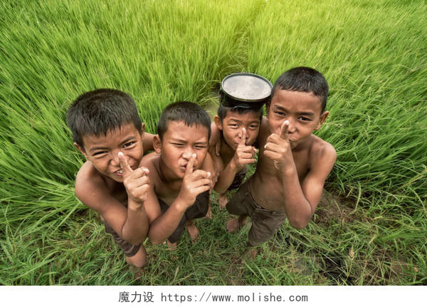 快乐的亚洲孩子农夫在绿色稻田